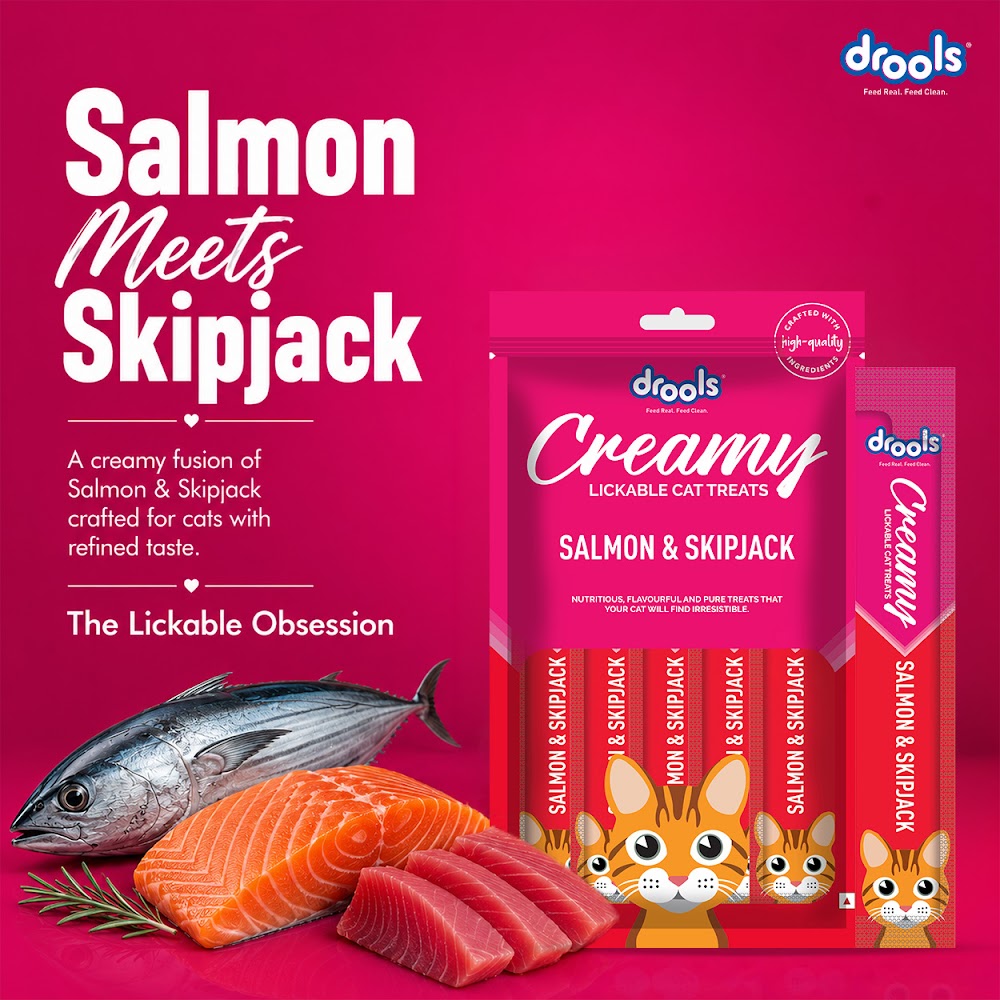 Drools Creamy Salmon & Skipjack (5x15g)