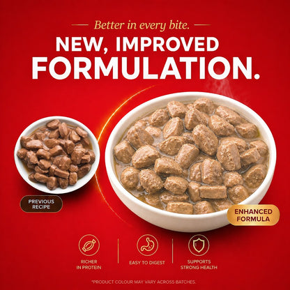 Drools Puppy Wet Dog Food, Real Chicken and Chicken Liver Chunks in Gravy,10 Pouches + 2 Pouches Free (12 x 60g )