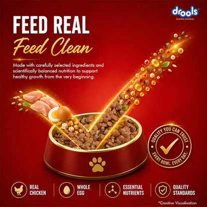 Drools Chicken and Egg Puppy Dry Dog Food, 10kg