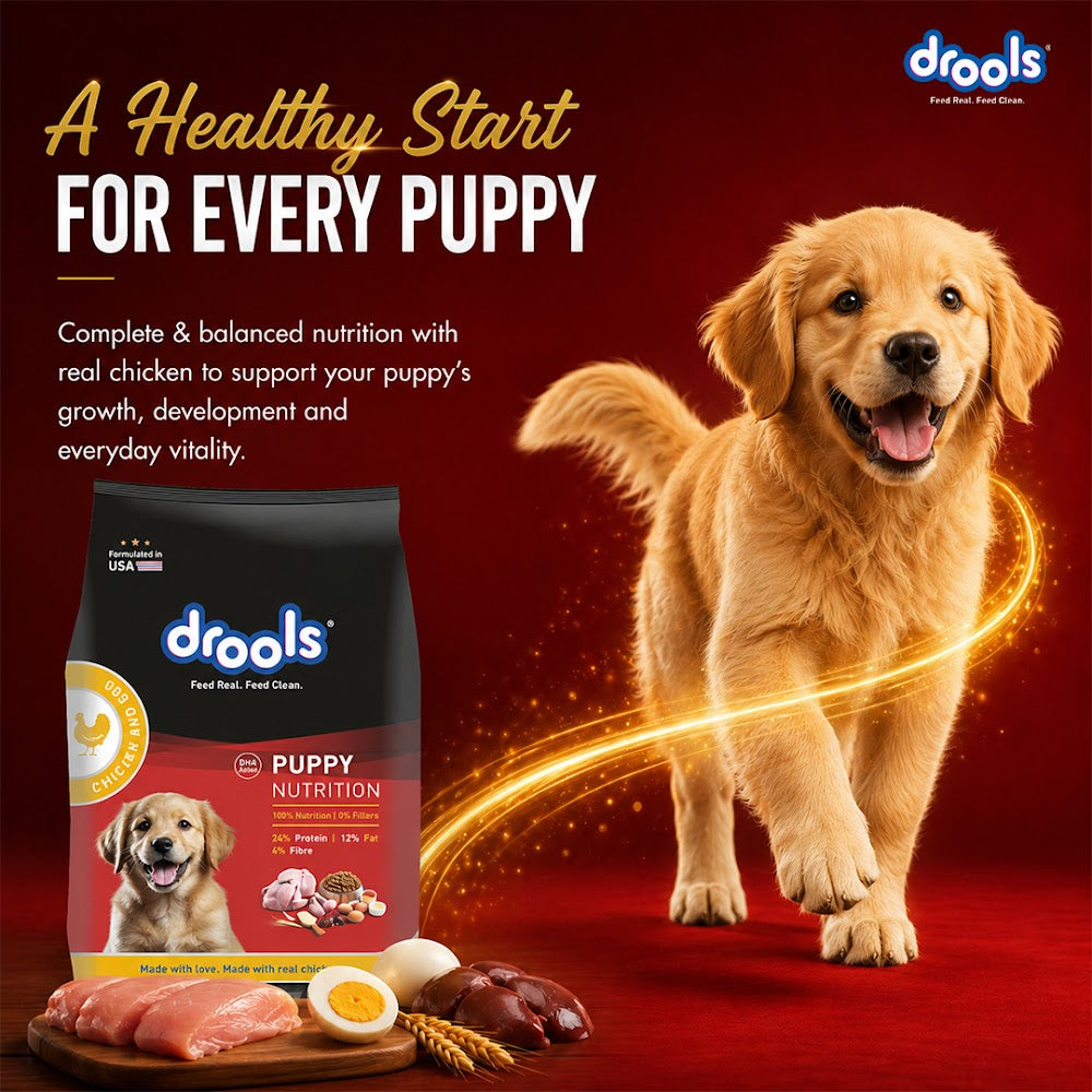 Drools Chicken and Egg Puppy Dry Dog Food, 10kg