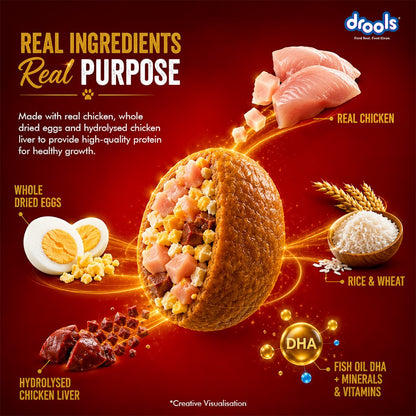 Drools Chicken and Egg Puppy Dry Dog Food, 10kg
