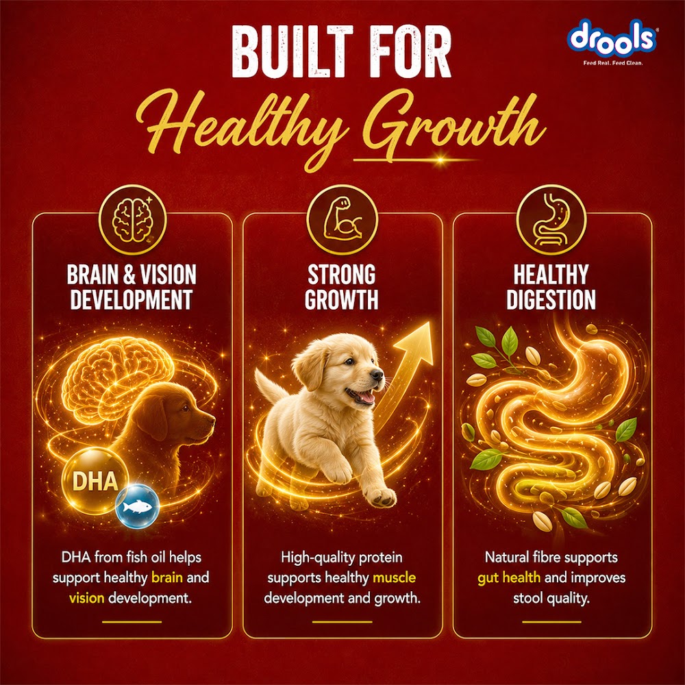 Drools Chicken and Egg Puppy Dry Dog Food, 10kg