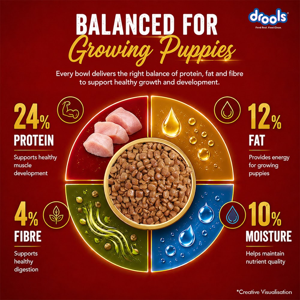 Drools Chicken and Egg Puppy Dry Dog Food, 10kg