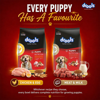Drools Chicken and Egg Puppy Dry Dog Food, 10kg