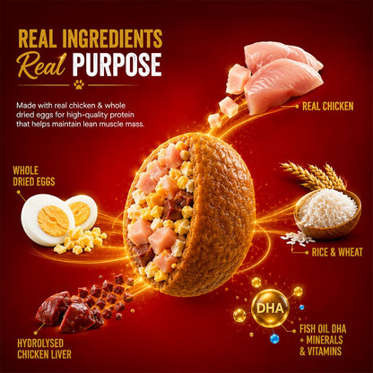 Drools Chicken and Egg Adult Dog Food, 3kg with Free 1.2kg