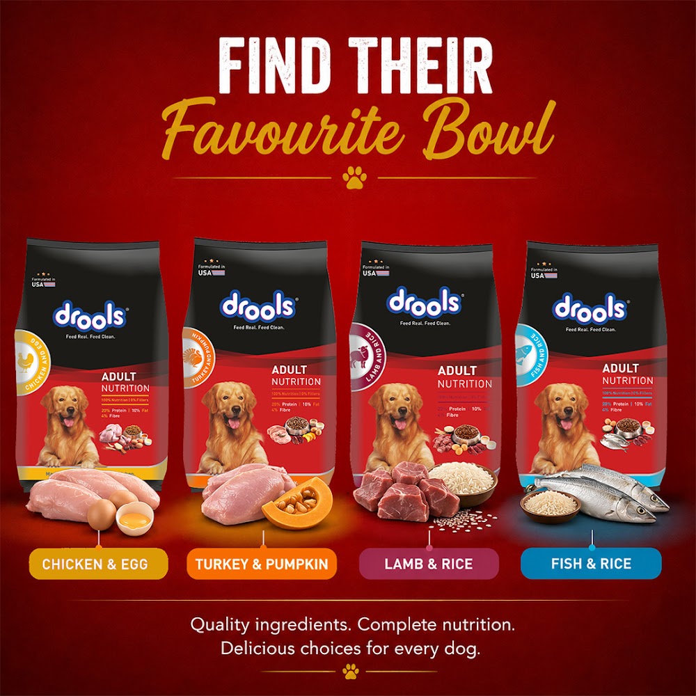Drools Chicken and Egg Adult Dog Food, 3kg with Free 1.2kg