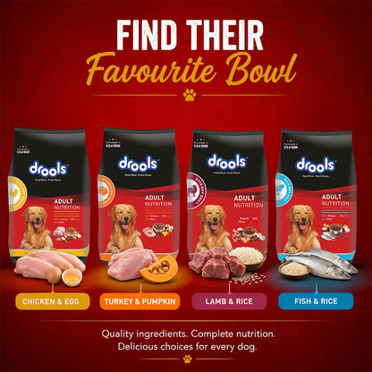 Drools Chicken and Egg Adult Dog Food, 3kg with Free 1.2kg