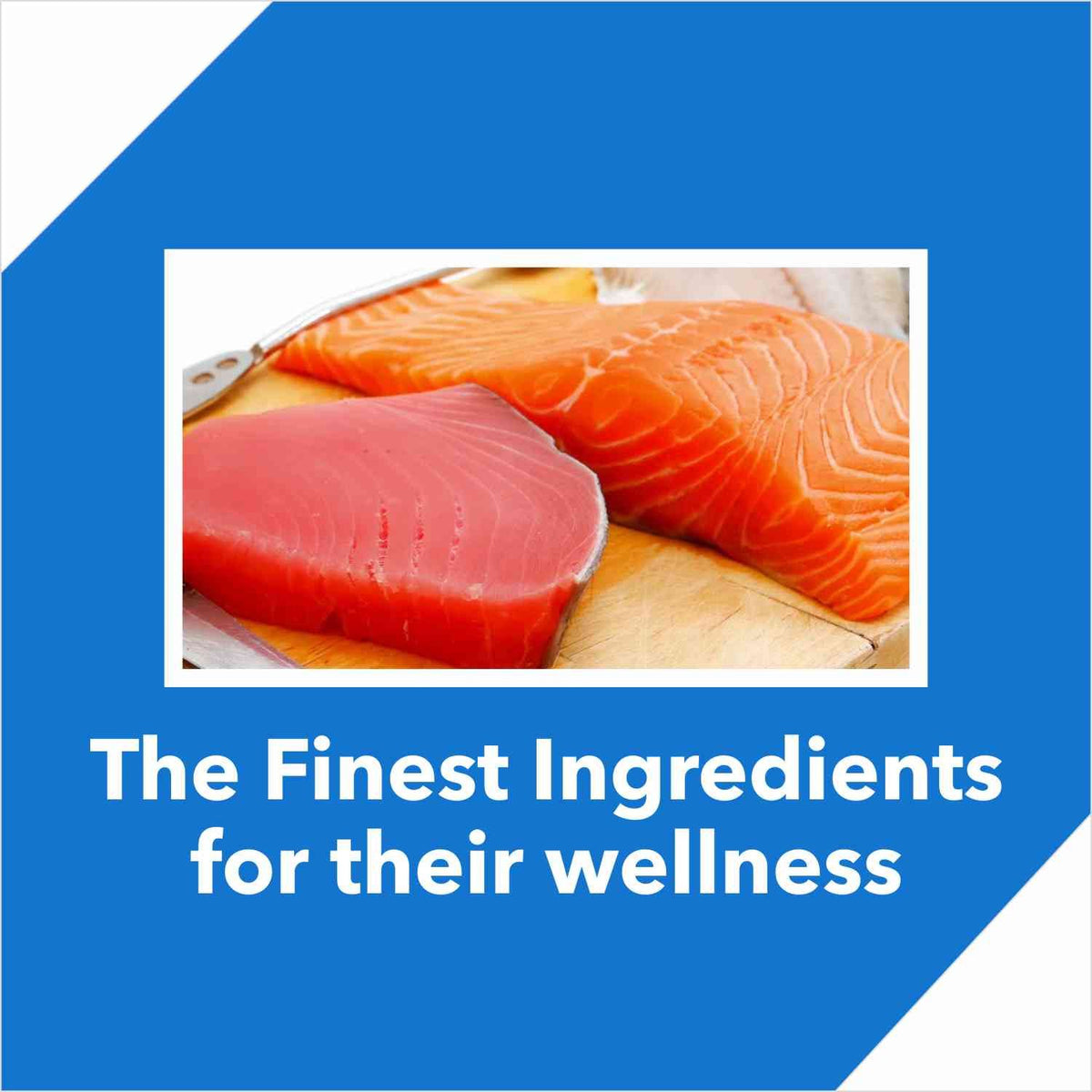 Drools Cat Tuna and Salmon 7kg