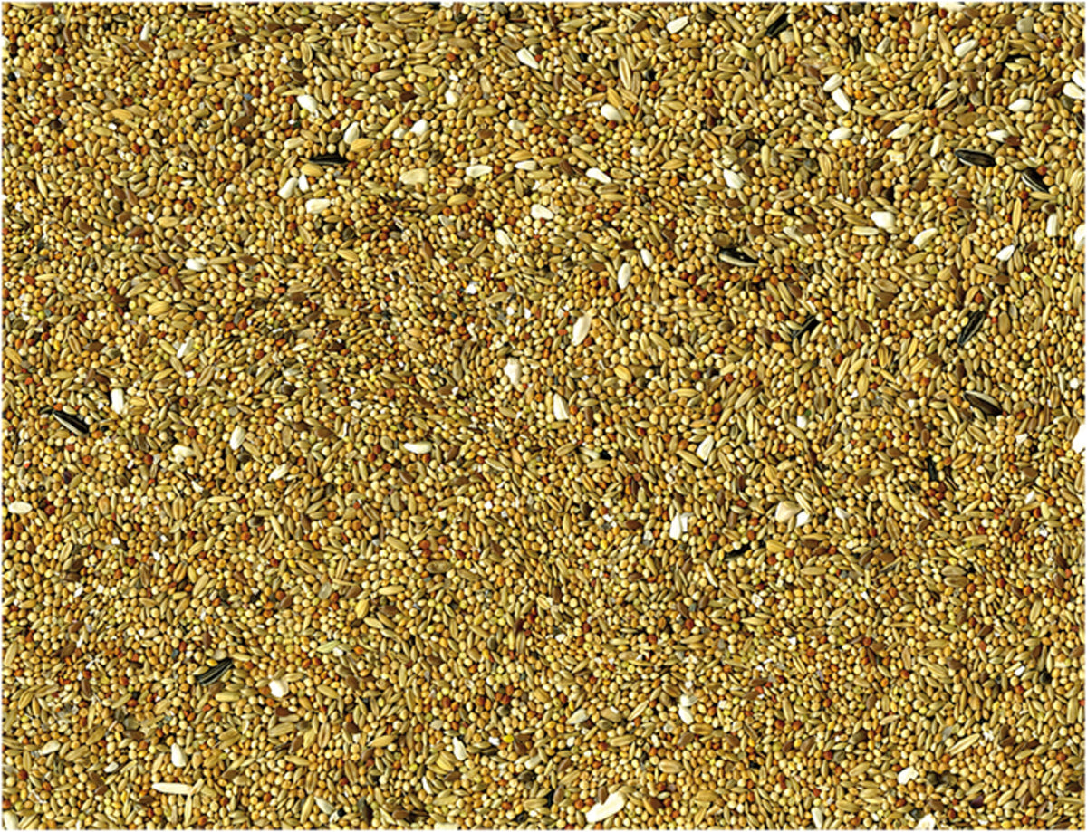 Vadigran Parakeet Basic Seed Mix (20 kg)