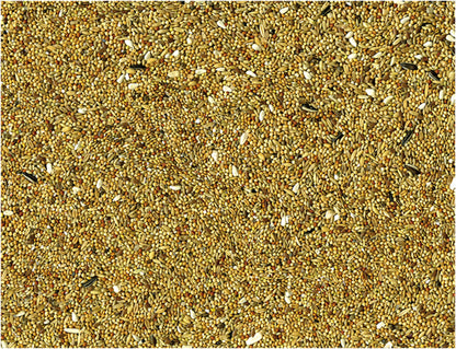 Vadigran Parakeet Basic Seed Mix (20 kg)
