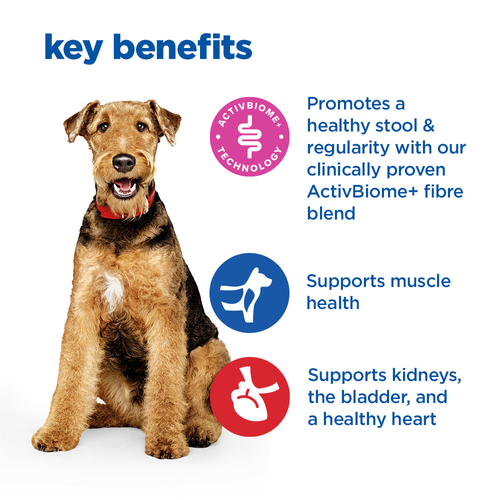 Hill's Vet Essentials Multi-Benefit + Digestion Adult Medium Dry Dog Food With Chicken 10Kg