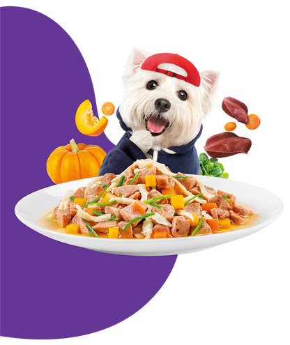 Moochie Dog Food Casserole with Chicken Liver - Digestive Care Pouch 85g