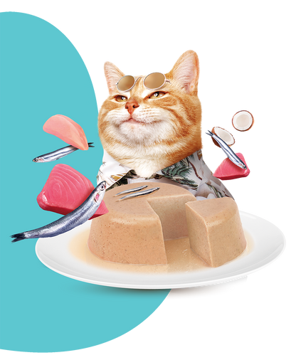 Moochie Cat Food Pate with Anchovy - Digestive Care Pouch 70g