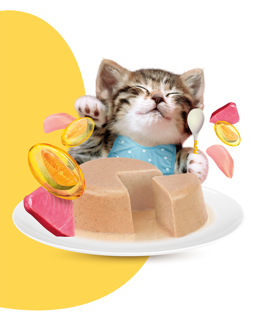 Moochie Kitten Mousse Tuna & Chicken Recipe 70g Pouch