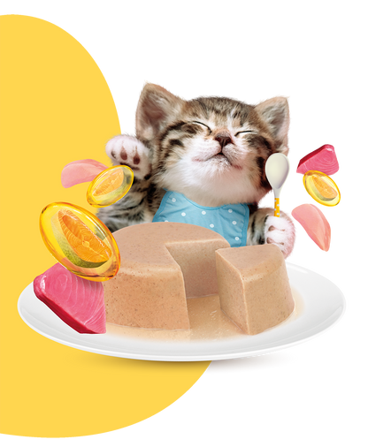 Moochie Kitten Mousse Tuna & Chicken Recipe 70g Pouch