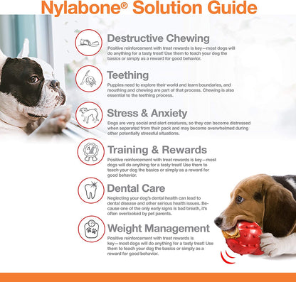 Nylabone Power Chew Textured Bone, Beef Jerky Wolf