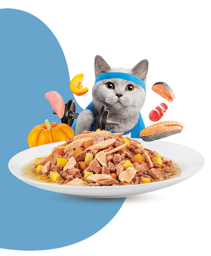 Moochie Cat Food Mince with Salmon - Weight Control Pouch 70g