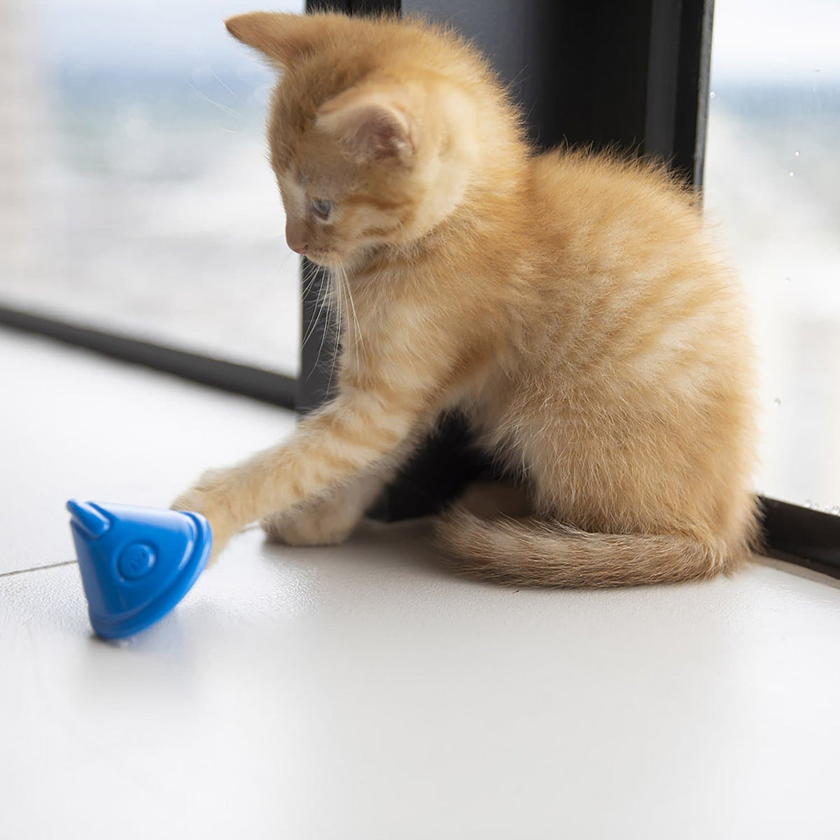 Petmate JW Cat Tumbler Toy