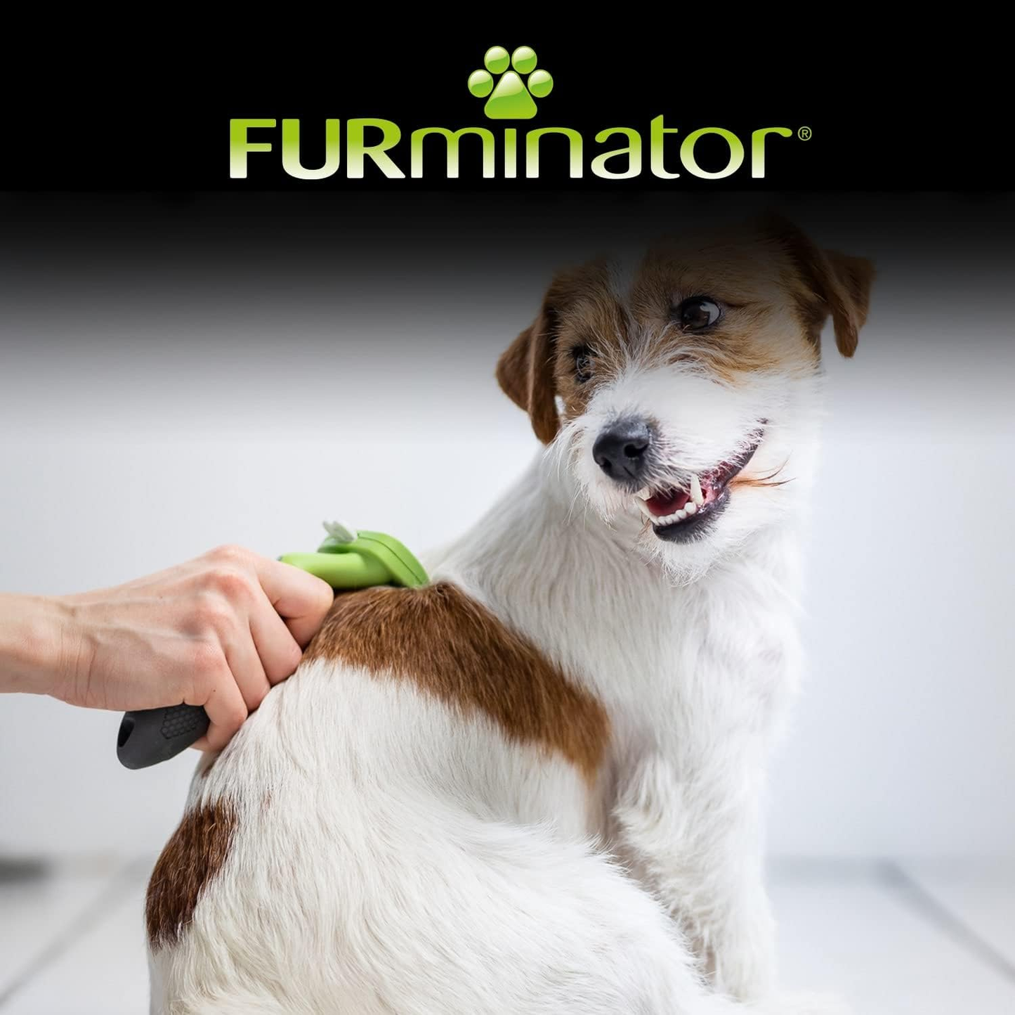FURminator Short Hair Deshedding Tool for Small Dogs
