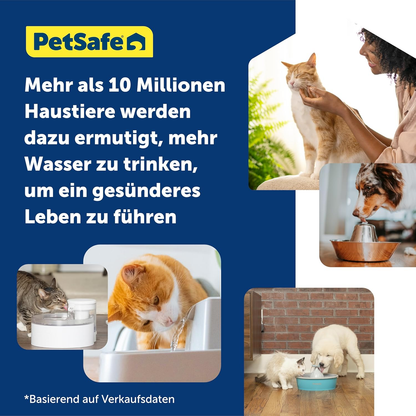 PetSafe Viva Pet Fountain for Cats & Small Dogs – 1.8L/64oz, Whisper Quiet, Dishwasher Safe UAE