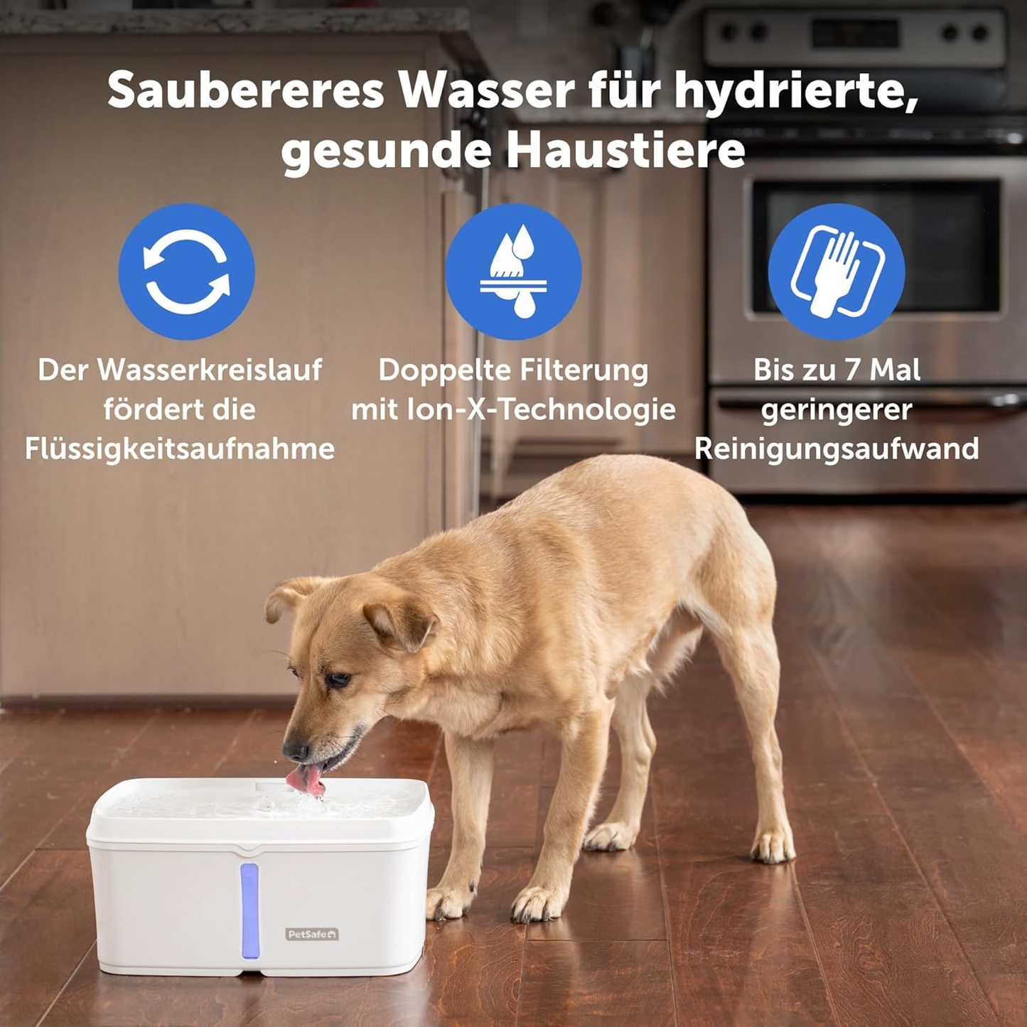 PetSafe Viva Drinking Fountain for Cats & Small Dogs – 4.1L/140oz, Quiet Pump, Dishwasher Safe UAE