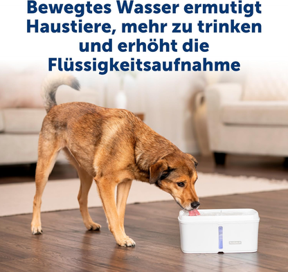 PetSafe Viva Drinking Fountain for Cats & Small Dogs – 4.1L/140oz, Quiet Pump, Dishwasher Safe UAE