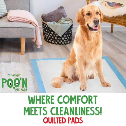 Nutrapet Poo N Pee Pads Grass Attractant 60 Cms X 60 Cms 5 X Absorption With Floor Mat Stickers