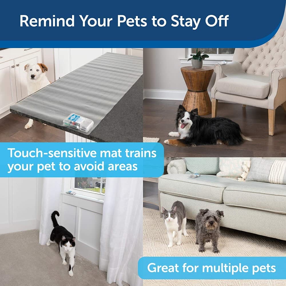 PetSafe ScatMat Indoor Pet Training Mat Sofa 150cm x 30cm – Static Training Deterrent for Cats & Dogs UAE