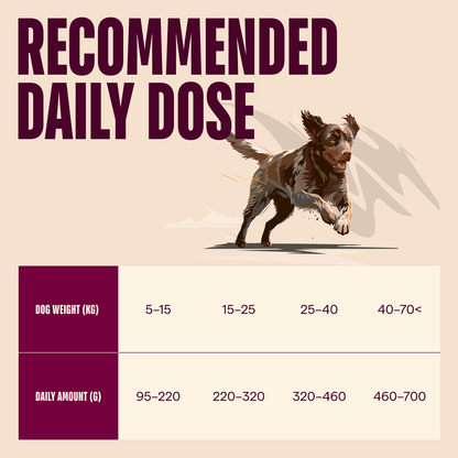Carnilove Lamb & Wild Boar For Adult Dogs 1.5kg
