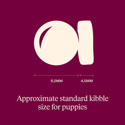 Carnilove Salmon & Turkey for Puppies 12kg