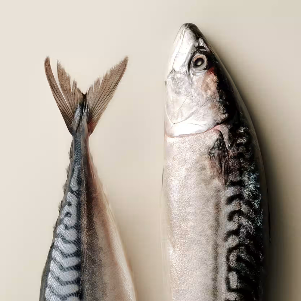 Carnilove Mackerel with Raspberries Crunchy Snack for Dogs 200g