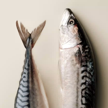 Carnilove Mackerel with Raspberries Crunchy Snack for Dogs 200g