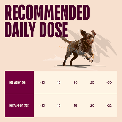 Carnilove Ostrich with Blackberries Crunchy Snack for Dogs 200g