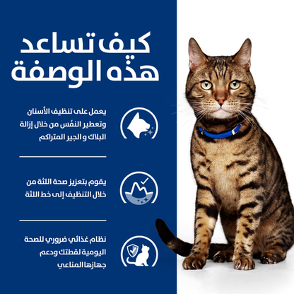 Hill's PRESCRIPTION DIET t/d Cat Food 1.5kg