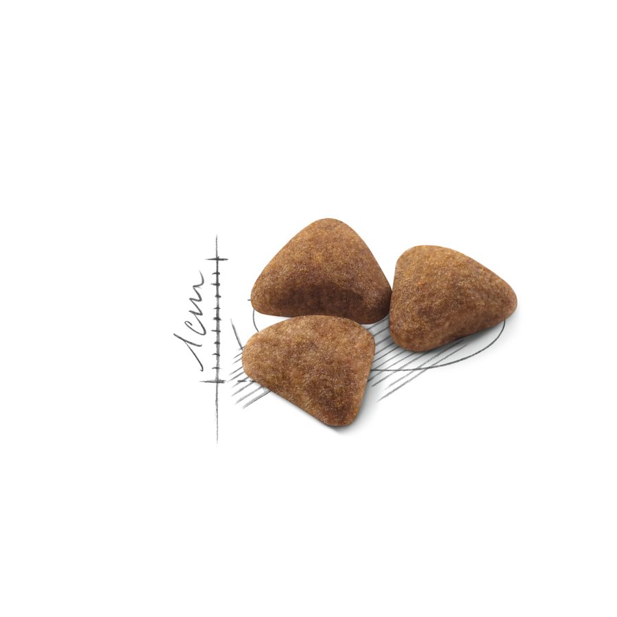 Royal Canin Feline Health Nutrition Indoor 4 kg