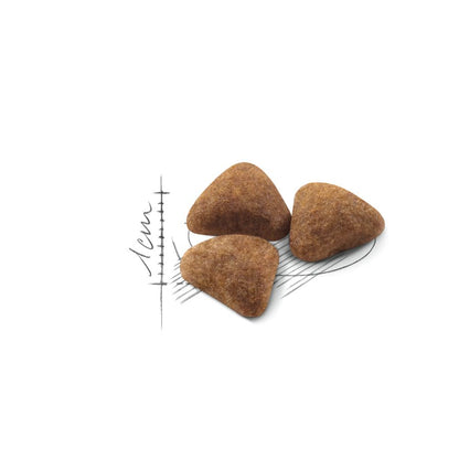 Royal Canin Feline Health Nutrition Indoor 4 kg