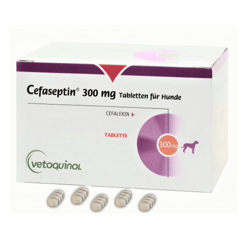CEFASEPTIN300MG 100 TABS GB( CEPHALAXIN 300MG )