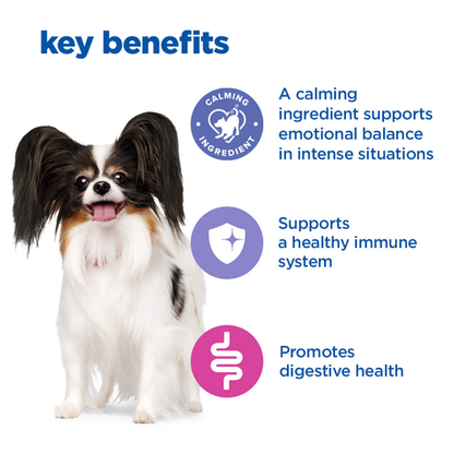 Hill's Vet Essentials Multi-Benefit + Digestion Adult Small & Mini Dry Dog Food With Chicken 2kg