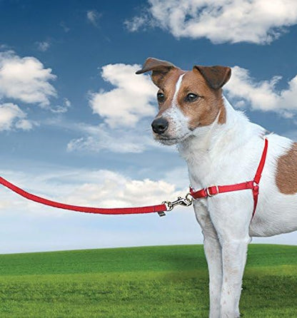 Petsafe Easy Walk Harness Extra Large Red Rohs