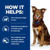Hill's Prescription Diet Metabolic Canine with Lamb and Rice (1.5kg)