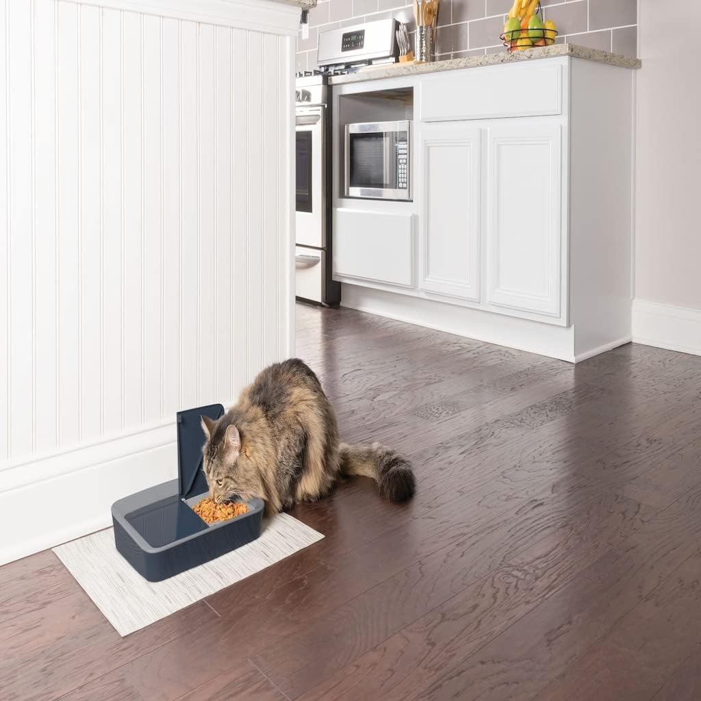 PetSafe Digital 2-Meal Automatic Pet Feeder – Digital Timer Feeder for Cats & Dogs UAE
