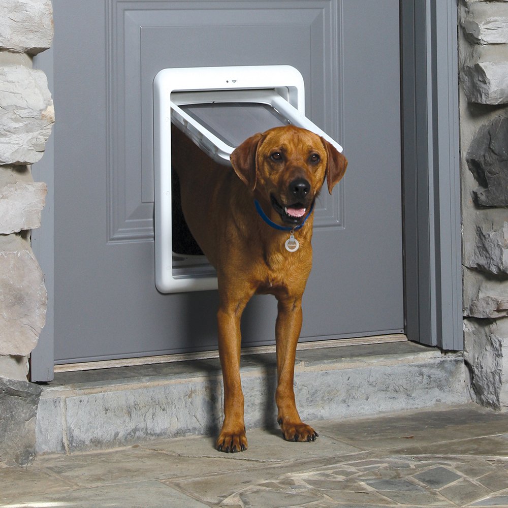 Pet Safe Passport Intelligent Dog Cat Door Flap