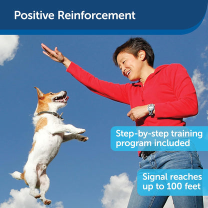 PetSafe Treat & Train Remote Reward Dog Trainer – Remote-Controlled Treat Dispenser for Dog Training UAE