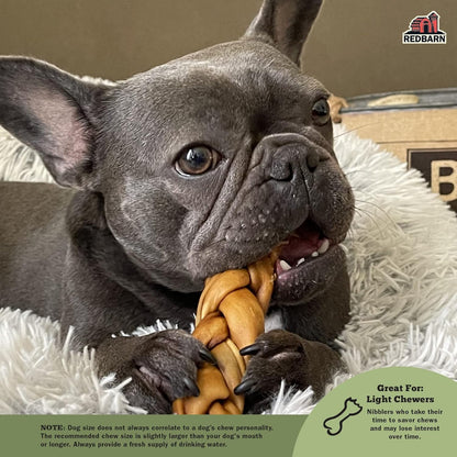 RedBarn 5 inch Braided Bully Stick