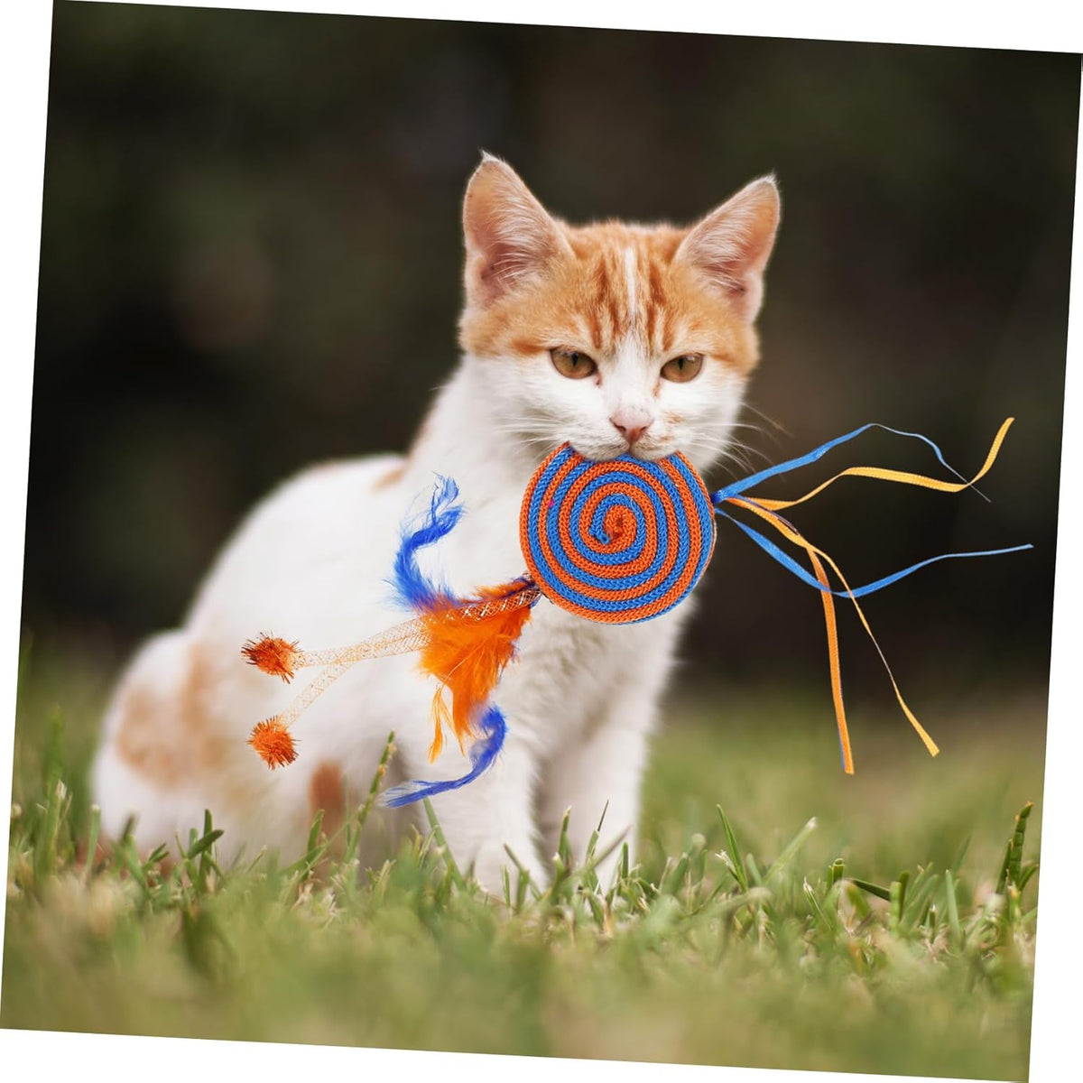 Wild Catz Rollin Candy Fabric, Feature Cat Toy