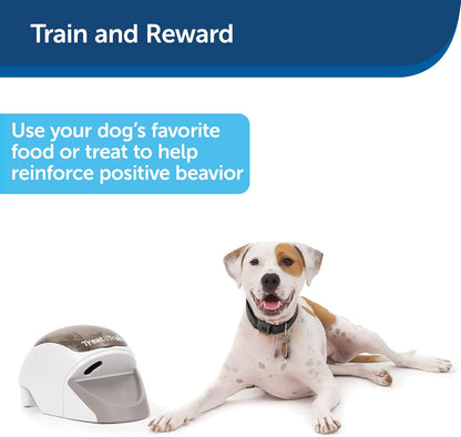 PetSafe Treat & Train Remote Reward Dog Trainer – Remote-Controlled Treat Dispenser for Dog Training UAE