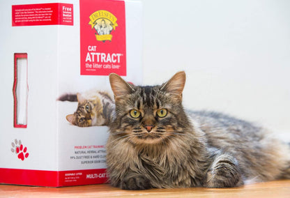 Dr. Elsey's Cat Attract Litter 9kg