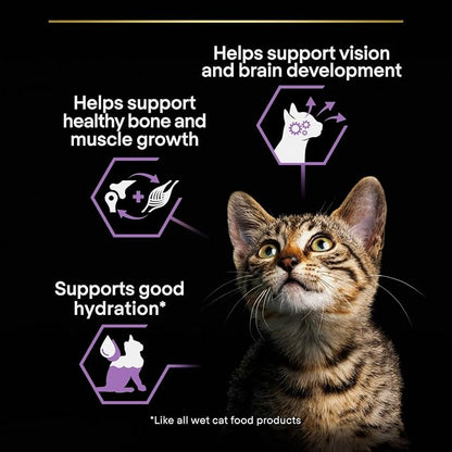 Pro Plan JUNIOR (Kitten) CAT GiG TURKEY 85g
