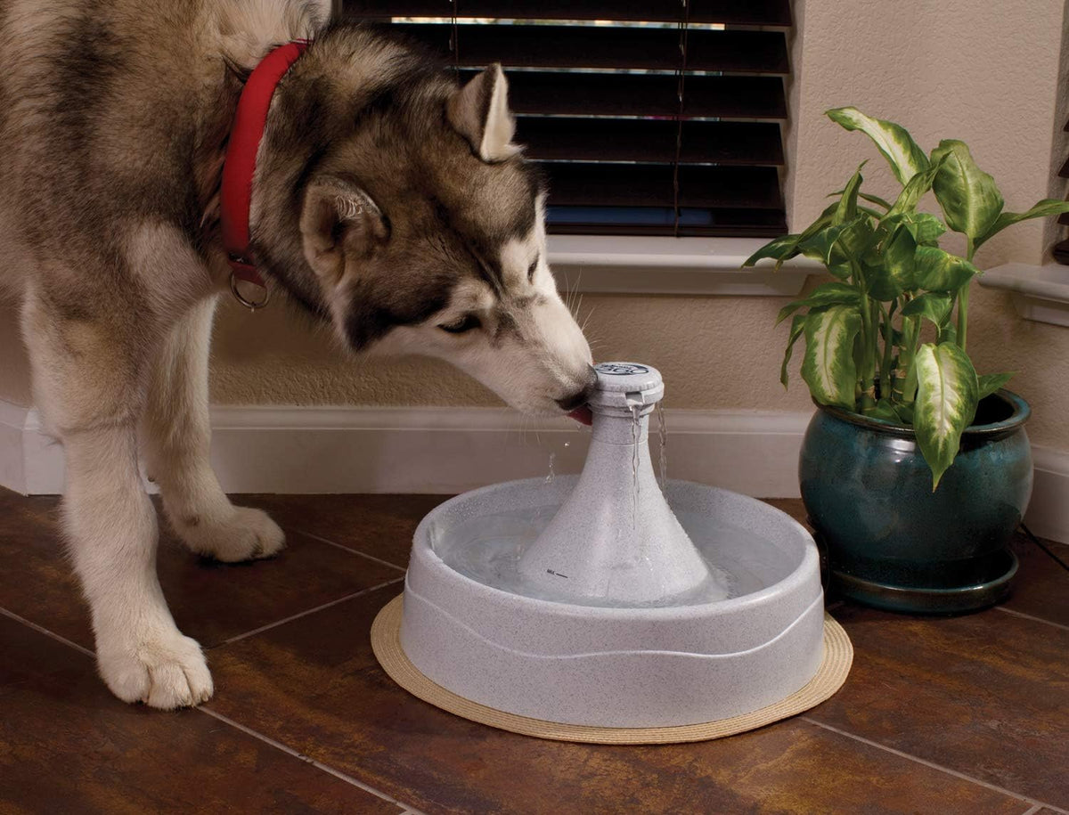 PetSafe Drinkwell 360 Fountain