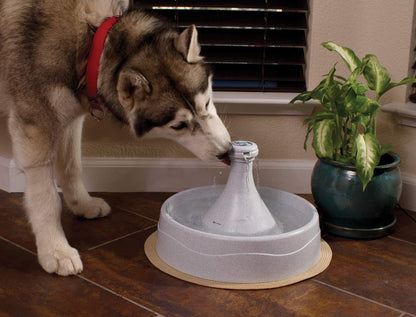 PetSafe Drinkwell 360 Fountain